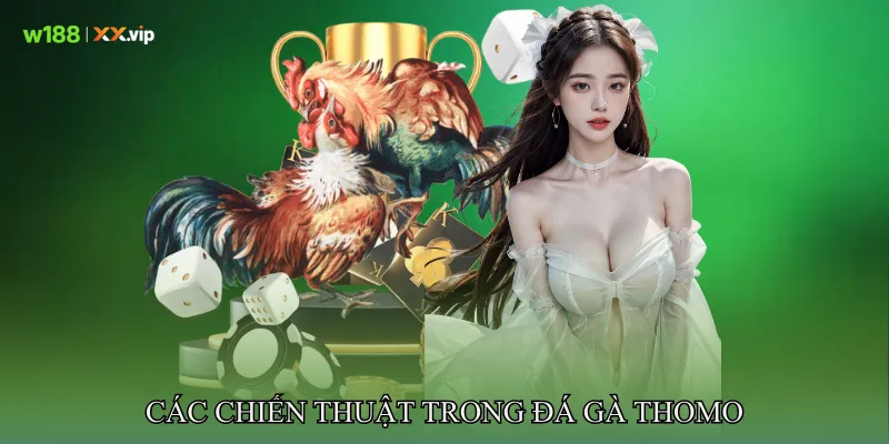 Các Chiến Thuật Trong Đá gà Thomo