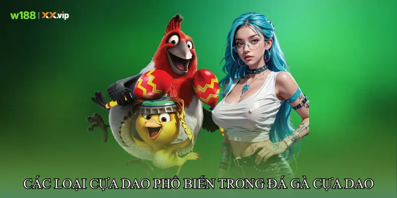 Đá Gà Cựa Dao Khám Phá Quy Tắc, Diễn Biến Trận Đấu Chuẩn 3 Các loại cựa dao phổ biến trong Đá gà cựa dao