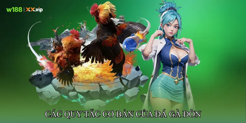 Các Quy Tắc Cơ Bản của Đá Gà Đòn