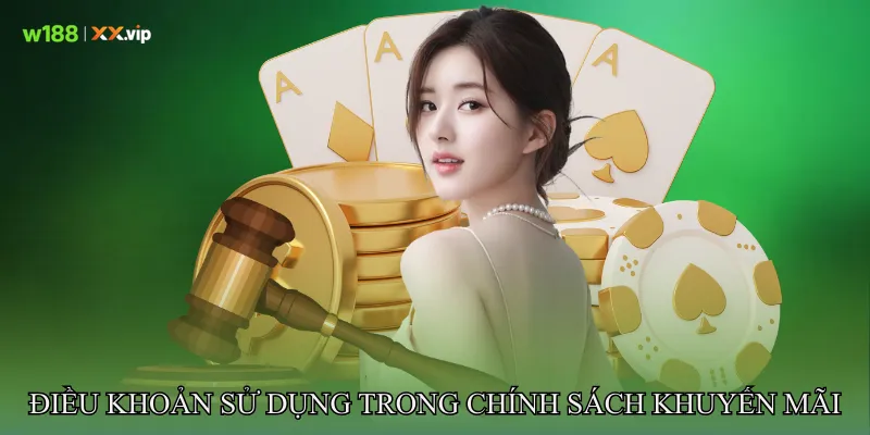 Điều khoản sử dụng trong chính sách khuyến mãi