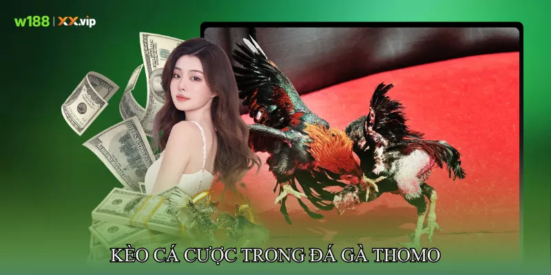 Kèo Cá Cược Trong Đá gà Thomo