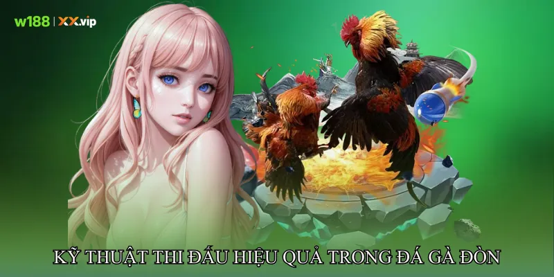 Kỹ thuật thi đấu hiệu quả trong Đá gà đòn