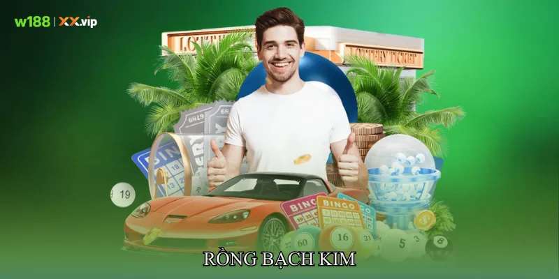 Rồng bạch kim